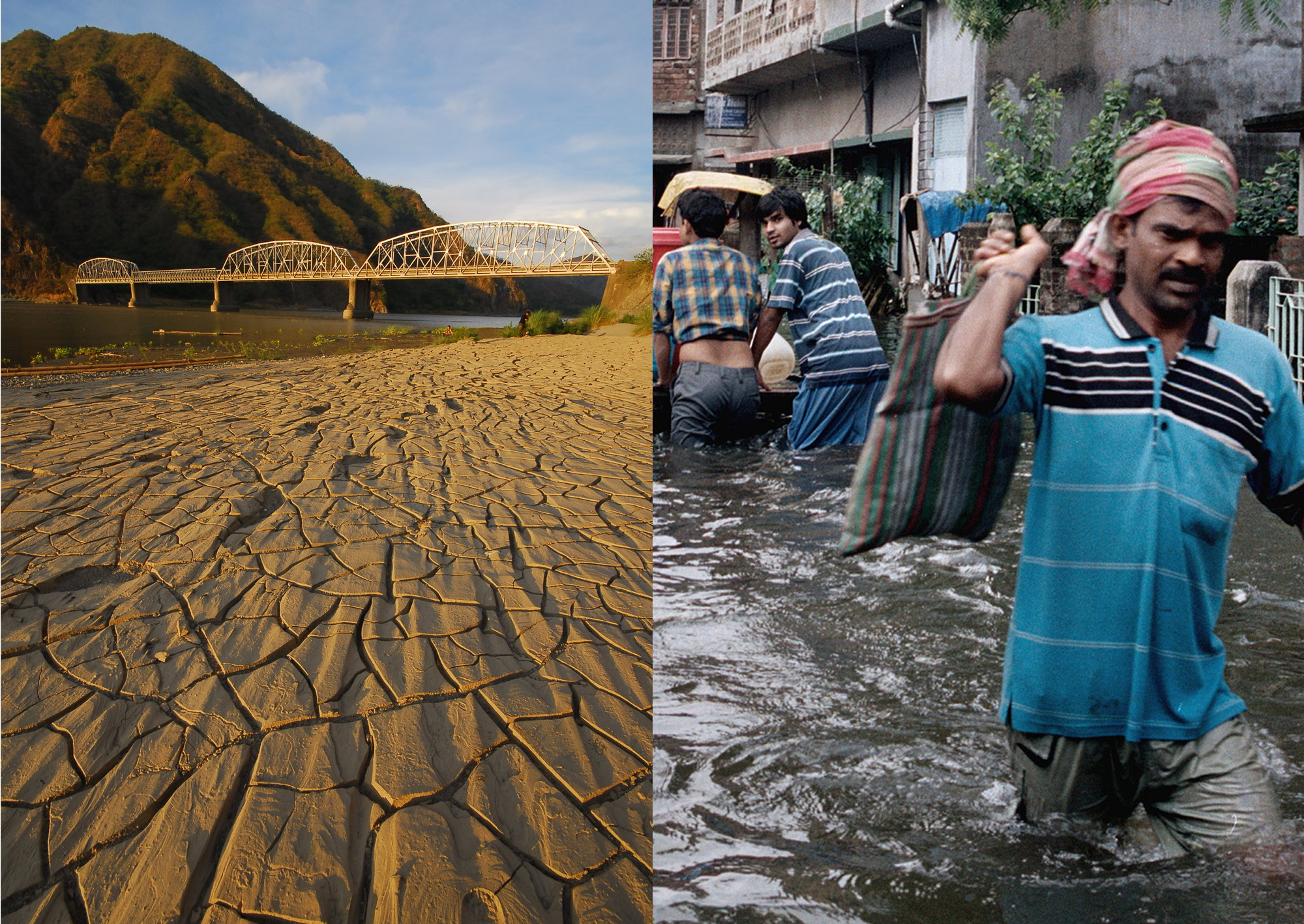 WEF’s report lists failure to respond and adapt to climate change as one of the most impactful global risks. Photo composite: WWC/Phanindra Sarkar, WWC/Razon Rosemarie