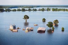 Ecosystems altered by climate change, a underwater farm in the Mississippi delta. ©LA NACION