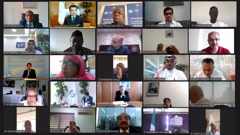 Participants of the virtual meeting organized on 27 July 2020