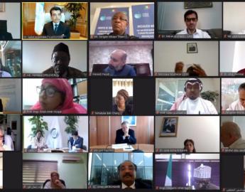 Participants of the virtual meeting organized on 27 July 2020