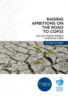 Cover page Bonn workshop outcomes