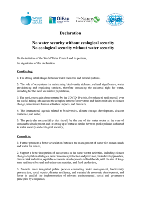 Declaration Water ecological security (EN)