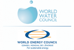 WWC WEC logos