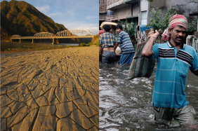 WEF’s report lists failure to respond and adapt to climate change as one of the most impactful global risks. Photo composite: WWC/Phanindra Sarkar, WWC/Razon Rosemarie